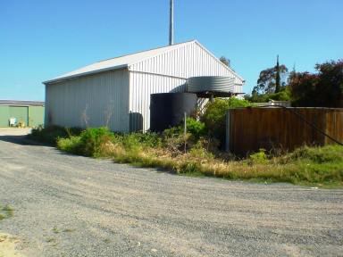 Residential Block For Sale - WA - Neerabup - 6031 - NOW SELLING  (Image 2)