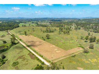 Livestock For Sale - NSW - Krambach - 2429 - KRAMBACH BEAUTY  (Image 2)