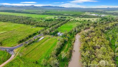 Horticulture For Sale - QLD - Dimbulah - 4872 - BLANK CANVAS 127ACRE AGRICULTURAL HOLDING | AUTOMATIC IRRIGATION INFRASTRUCTURE | ORGANIC LICENCE  (Image 2)