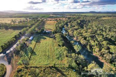Horticulture For Sale - QLD - Dimbulah - 4872 - Strategically Developed Agricultural Holding with Strong Income Potential and Organic Licence  (Image 2)