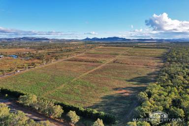 Horticulture For Sale - QLD - Dimbulah - 4872 - 400M WALSH RIVER FRONTAGE | 2 TITLES | 55.85HA  (Image 2)