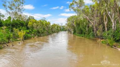Horticulture For Sale - QLD - Dimbulah - 4872 - BLANK CANVAS 127ACRE AGRICULTURAL HOLDING | AUTOMATIC IRRIGATION INFRASTRUCTURE | ORGANIC LICENCE  (Image 2)