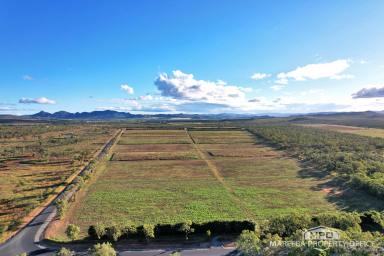 Horticulture For Sale - QLD - Dimbulah - 4872 - 400M WALSH RIVER FRONTAGE | 2 TITLES | 55.85HA  (Image 2)