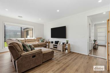 House For Sale - VIC - Elmore - 3558 - Modern Family Living with a 4‑Car Garage in Charming Elmore  (Image 2)