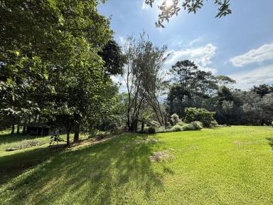 House For Lease - NSW - Foxground - 2534 - Quaint Living in Foxground  (Image 2)