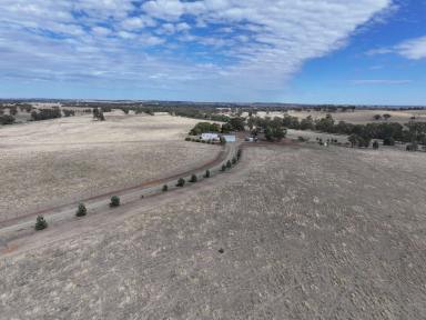 Mixed Farming For Sale - NSW - Marrar - 2652 - QUALITY LIFESTYLE PROPERTY  (Image 2)