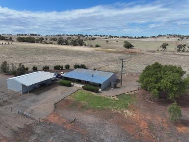 Mixed Farming For Sale - NSW - Marrar - 2652 - QUALITY LIFESTYLE PROPERTY  (Image 2)