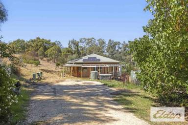 House For Sale - VIC - Newstead - 3462 - Escape to Tranquil Off-Grid Living in Newstead  (Image 2)