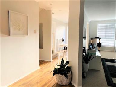 House For Lease - NSW - Gerringong - 2534 - Spacious Family Home in Elambra  (Image 2)