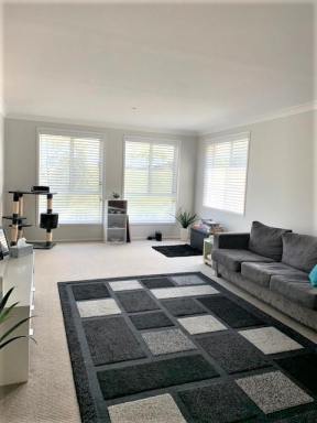 House For Lease - NSW - Gerringong - 2534 - Spacious Family Home in Elambra  (Image 2)