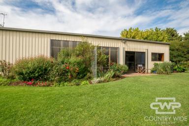 Lifestyle For Sale - NSW - Stonehenge - 2370 - River-Front Acreage Close to Town  (Image 2)
