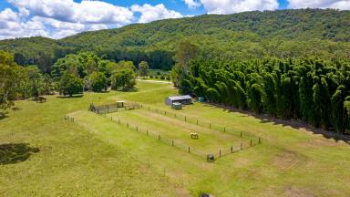 Acreage/Semi-rural For Sale - QLD - Gheerulla - 4574 - Bamboo Springs  (Image 2)