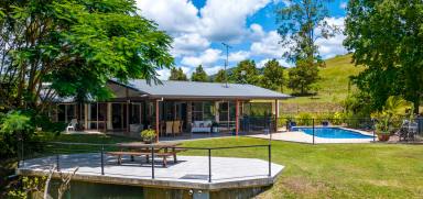 Acreage/Semi-rural For Sale - QLD - Gheerulla - 4574 - Bamboo Springs  (Image 2)