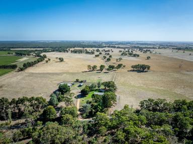 Other (Rural) For Sale - SA - Bool Lagoon - 5271 - "Ginge's" 524 Bool Lagoon West Road, Bool Lagoon via Naracoorte SA 5271 (Image 2)