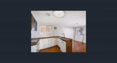 House For Lease - QLD - East Toowoomba - 4350 - Charming East Toowoomba Home with Pool  (Image 2)