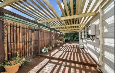 House Auction - QLD - Bramston Beach - 4871 - Must Be Sold! Absolute Beachfront, Dual Living  (Image 2)