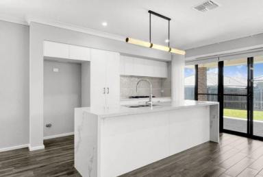House Leased - NSW - Googong - 2620 - Spacious & Thoughtfully Designed 5 Bedroom Home  (Image 2)