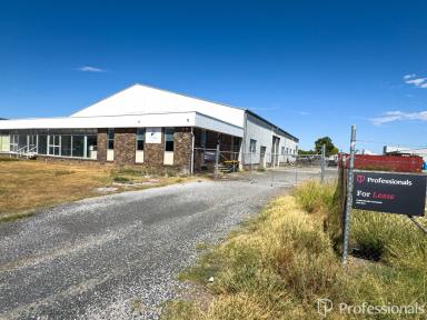 Retail For Lease - NSW - Tamworth - 2340 - Industrial Warehouse and Showroom  (Image 2)