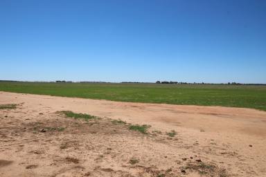 Cropping For Sale - VIC - Mitiamo - 3573 - Outstanding Broadacre Cropping & Grazing Property - Central Victoria  (Image 2)