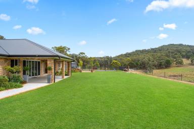Lifestyle Auction - NSW - Goulburn - 2580 - Exquisite Off-Grid Country Estate  (Image 2)