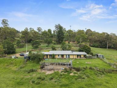 Acreage/Semi-rural Sold - NSW - Candelo - 2550 - PEACEFUL COUNTRY LIVING ON 3.42HA – SPACE, COMFORT & PRIVACY  (Image 2)