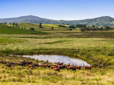 Other (Rural) For Sale - NSW - Kilgra - 2474 - 150+ Acre Farm Close to Town  (Image 2)