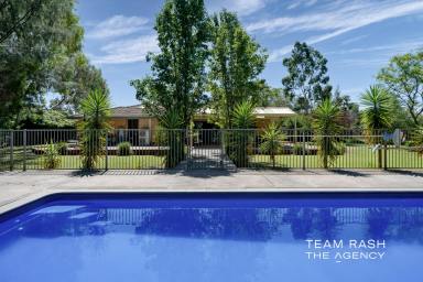 House For Sale - WA - Casuarina - 6167 - Timeless Country Elegance on 1.81 Hectares – Your Perfect Casuarina Retreat  (Image 2)