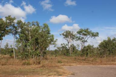 Residential Block For Sale - NT - Blackmore - 0822 - 5 Acres with bore  (Image 2)