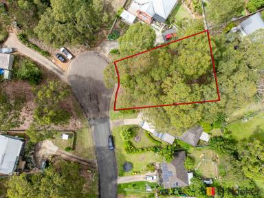 Residential Block For Sale - NSW - Catalina - 2536 - Elevated 749sqm Block in Quiet Cul-de-Sac (Image 2)