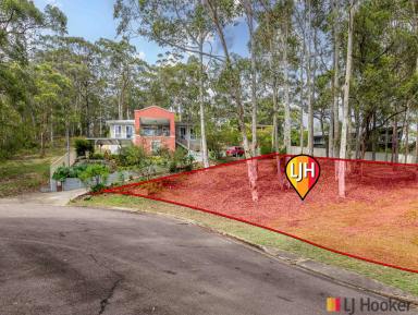 Residential Block For Sale - NSW - Catalina - 2536 - Elevated 749sqm Block in Quiet Cul-de-Sac (Image 2)