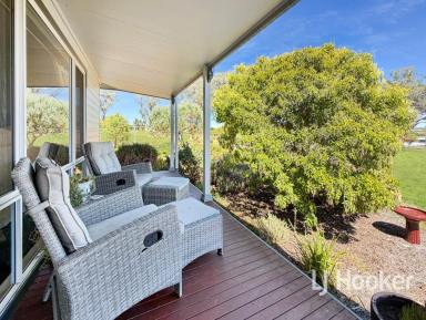 House For Sale - NSW - Inverell - 2360 - Modern Family Living with Stunning Bushland Outlook  (Image 2)