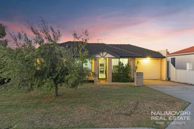 House For Sale - WA - Nollamara - 6061 - MOVE RIGHT IN! (Image 2)