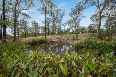Acreage/Semi-rural For Sale - NSW - Clarence Town - 2321 - Sunlight, Shade and Space to Breathe  (Image 2)