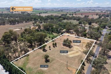 Residential Block For Sale - NSW - Cowra - 2794 - 3 x 1ACRE* BUILDING BLOCKS JUST 10MINS FROM COWRA!  (Image 2)