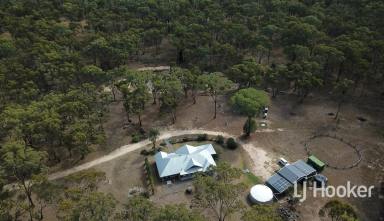 Lifestyle For Sale - NSW - Howell - 2360 - 'Geebung Flat' Off-The-Grid Tranquility  (Image 2)