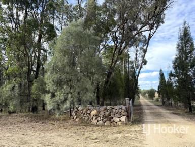 Lifestyle For Sale - NSW - Howell - 2360 - 'Geebung Flat' Off-The-Grid Tranquility  (Image 2)