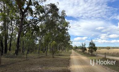 Lifestyle For Sale - NSW - Howell - 2360 - 'Geebung Flat' Off-The-Grid Tranquility  (Image 2)