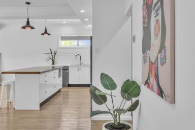 House For Sale - NSW - Mudgee - 2850 - SPACE, STYLE AND LIFESTYLE IN EAST MUDGEE  (Image 2)