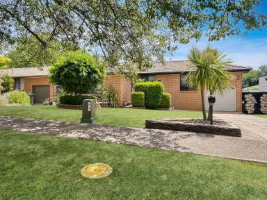 House For Lease - NSW - Orange - 2800 - Charming Three-Bedroom Home in Convenient Orange Location  (Image 2)