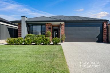 House For Sale - WA - Banksia Grove - 6031 - Modern Family Living  (Image 2)