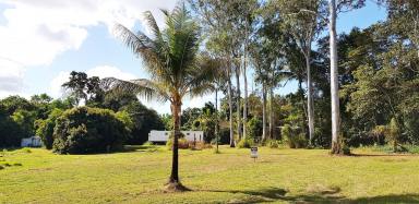 Residential Block For Sale - QLD - Carruchan - 4816 - Vacant rural block with shed and town water has creek frontage & lovely mountain views  (Image 2)