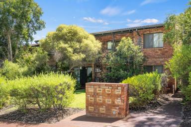 Apartment For Sale - WA - Mount Lawley - 6050 - Perfectly placed for low maintenance lifestyle living  (Image 2)