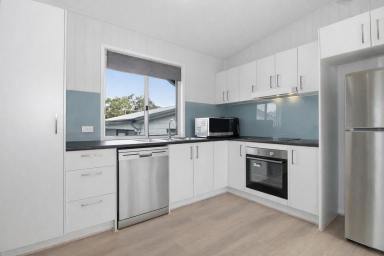 House For Sale - QLD - Macleay Island - 4184 - Charming Near-New Home with Room to Grow  (Image 2)