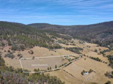 House For Sale - TAS - Colebrook - 7027 - Peaceful Country Living on 12 Acres - Off-Grid Lifestyle Opportunity  (Image 2)