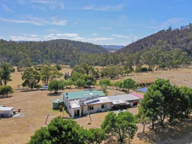 House For Sale - TAS - Colebrook - 7027 - Peaceful Country Living on 12 Acres - Off-Grid Lifestyle Opportunity  (Image 2)