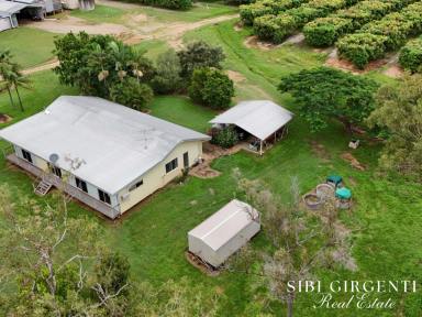 Mixed Farming For Sale - QLD - Dimbulah - 4872 - OPPORTUNITY TO EMBRACE A RURAL LIFESTYLE WHILE GENERATING INCOME  (Image 2)