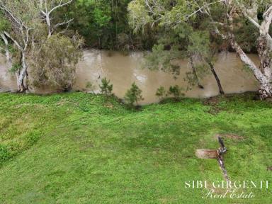 Mixed Farming For Sale - QLD - Dimbulah - 4872 - OPPORTUNITY TO EMBRACE A RURAL LIFESTYLE WHILE GENERATING INCOME  (Image 2)