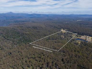 Lifestyle For Sale - TAS - Moina - 7310 - 53 Acres on the Doorstep of Cradle Mountain  (Image 2)