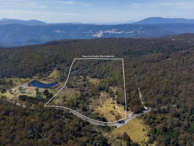 Lifestyle For Sale - TAS - Moina - 7310 - 53 Acres on the Doorstep of Cradle Mountain  (Image 2)