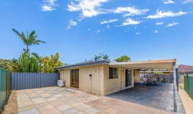 House For Lease - WA - Gosnells - 6110 - Neat and Tidy  (Image 2)